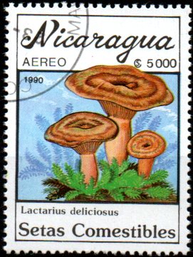 Nikaragua u Mi  3003