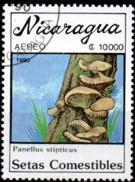 Nikaragua u Mi  3004