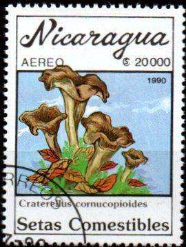 Nikaragua u Mi  3005