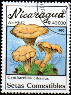 Nikaragua u Mi  3006