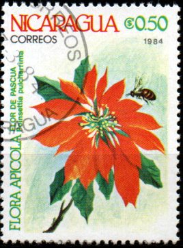 Nikaragua u Mi  2490