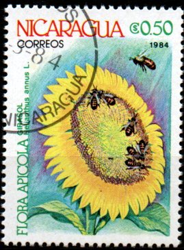 Nikaragua u Mi  2491