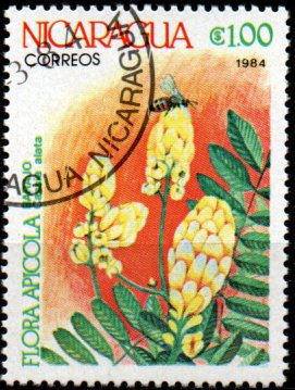 Nikaragua u Mi  2492