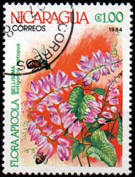Nikaragua u Mi  2493