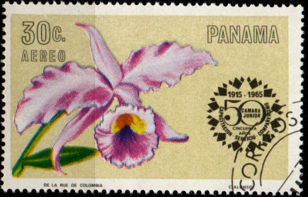 Panama u Mi  0856