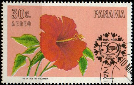 Panama u Mi  0858
