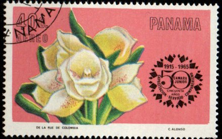 Panama u Mi  0860