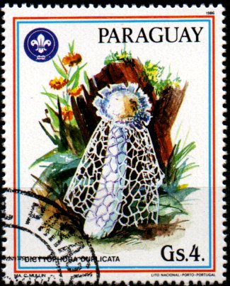 Paraguay u Mi  3955