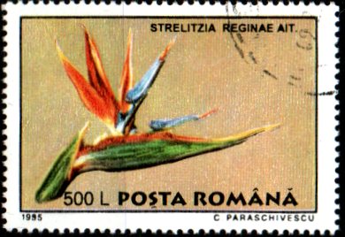 Rumunsko u Mi 5132