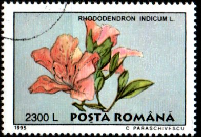 Rumunsko u Mi 5134