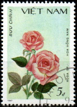 Vietnam u Mi 1888