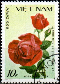 Vietnam u Mi 1889