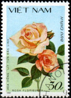 Vietnam u Mi 1893