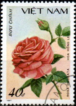 Vietnam u Mi 1894
