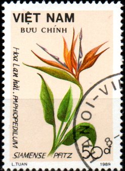Vietnam u Mi 2089