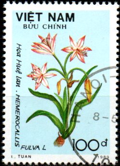 Vietnam u Mi 2090