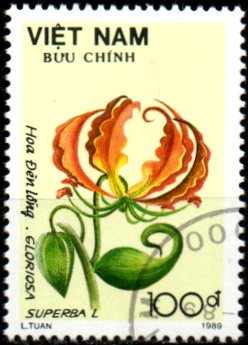 Vietnam u Mi 2091
