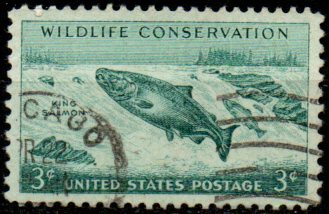 USA u Mi  0701
