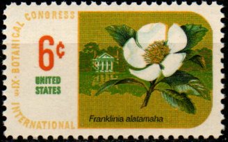 USA N Mi  0989