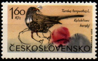 Československo N Mi 1572