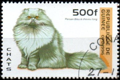 Guinea u Mi  1608