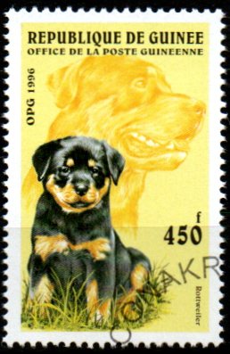 Guinea u Mi  1600