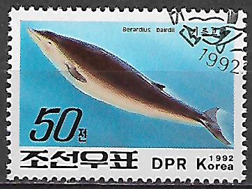 Severní Korea u Mi 3358