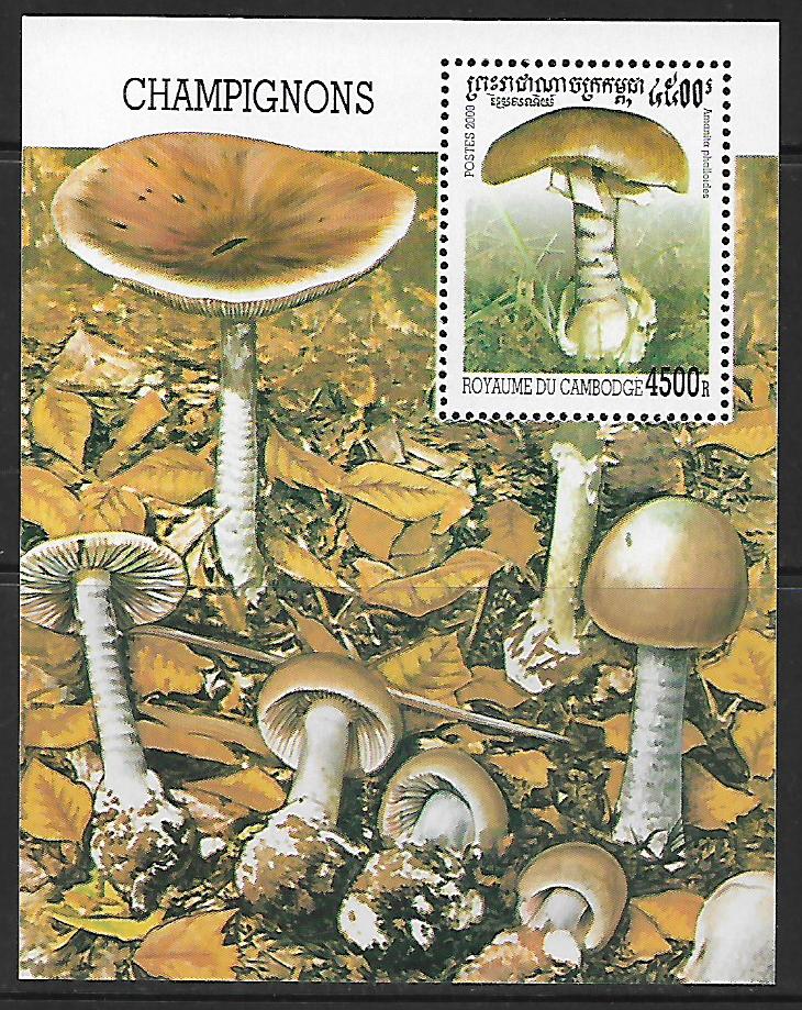 Kambodža N Mi Bl 0268