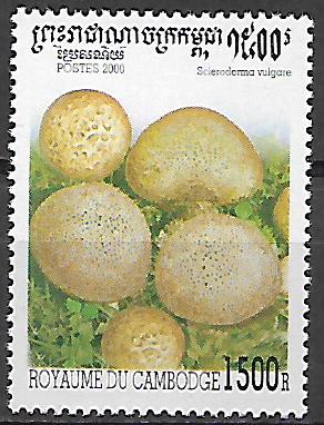 Kambodža N Mi 2065