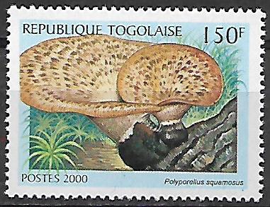 Togo N Mi  3051