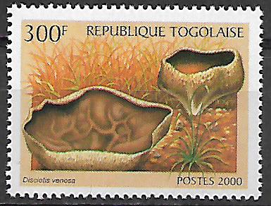 Togo N Mi  3053