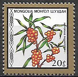 Mongolsko N Mi  1877