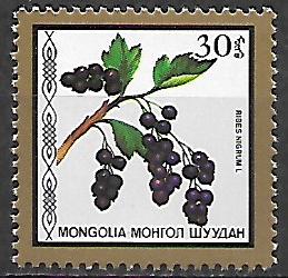 Mongolsko N Mi  1878
