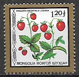 Mongolsko N Mi  1883