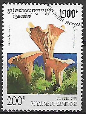 Kambodža u Mi 1504