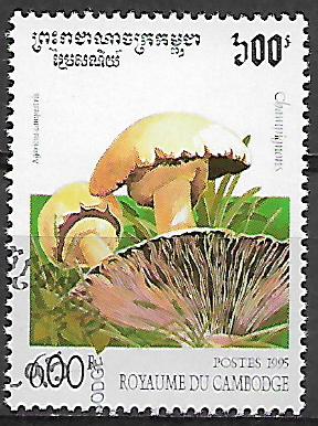 Kambodža u Mi 1506
