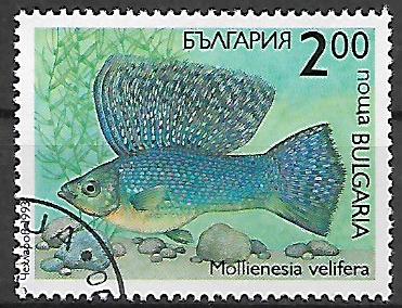 Bulharsko u Mi 4050