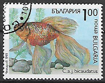 Bulharsko u Mi 4049