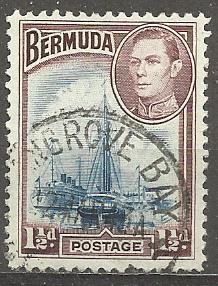 Bermudy u Mi 102