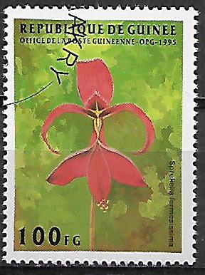 Guinea u Mi  1548