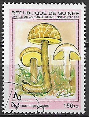 Guinea u Mi  1568