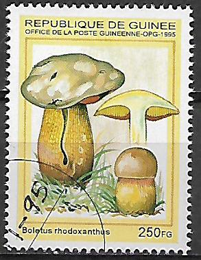 Guinea u Mi  1569