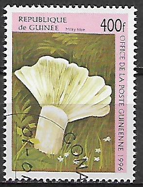 Guinea u Mi  1613