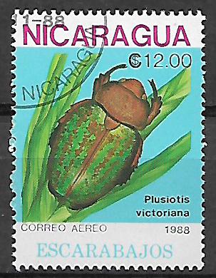 Nikaragua u Mi  2895