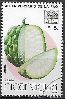 Nikaragua u Mi  2691
