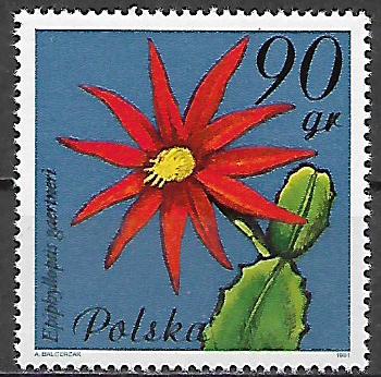 Polsko N Mi 2784