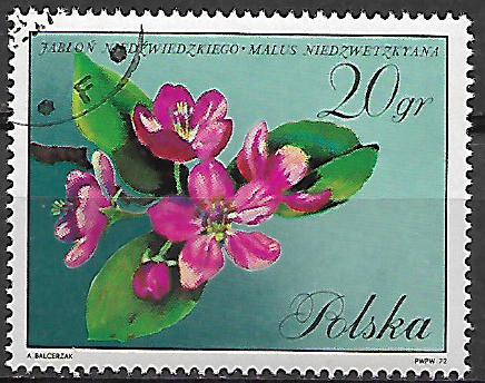 Polsko u Mi 2133