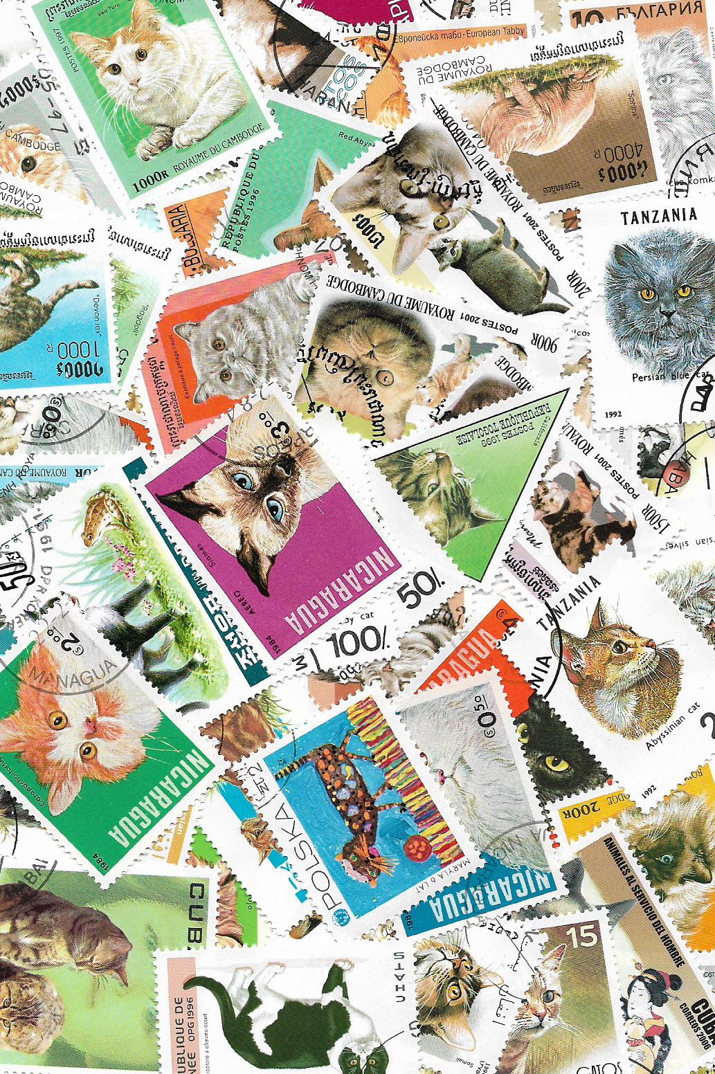 Kočky  50 různých poštovních známek