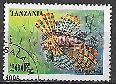 Tanzanie u Mi 2037