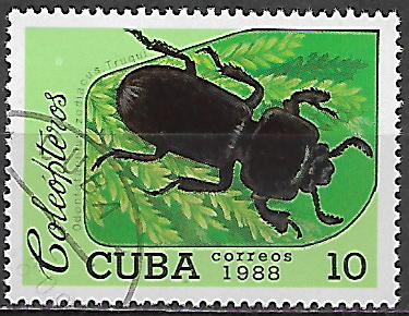 Kuba u Mi  3196